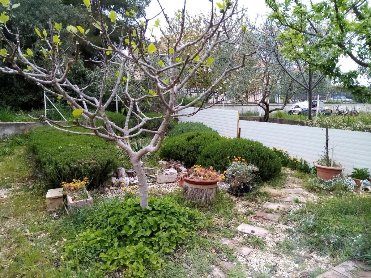Apartments Vanja Skara Biograd Biograd Na Moru Esterno foto
