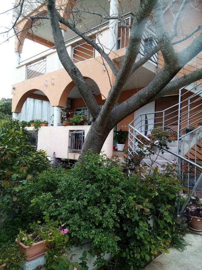 Apartments Vanja Skara Biograd Biograd Na Moru Esterno foto